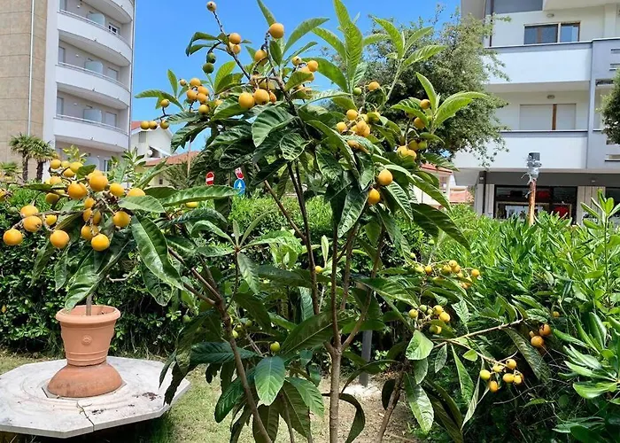 דירה La Casa Del Salice *