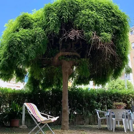 La Casa Del Salice *