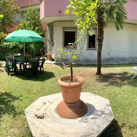 La Casa Del Salice