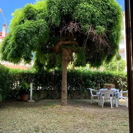 La Casa Del Salice
