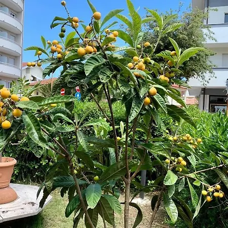 Apartment La Casa Del Salice *