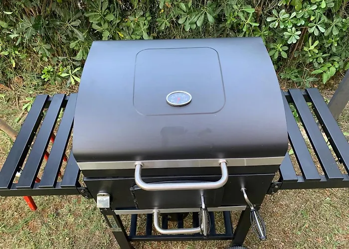 La Casa Del Salice Διαμέρισμα *